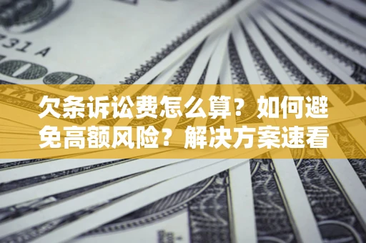 北京欠条诉讼费怎么算？如何避免高额风险？解决方案速看！